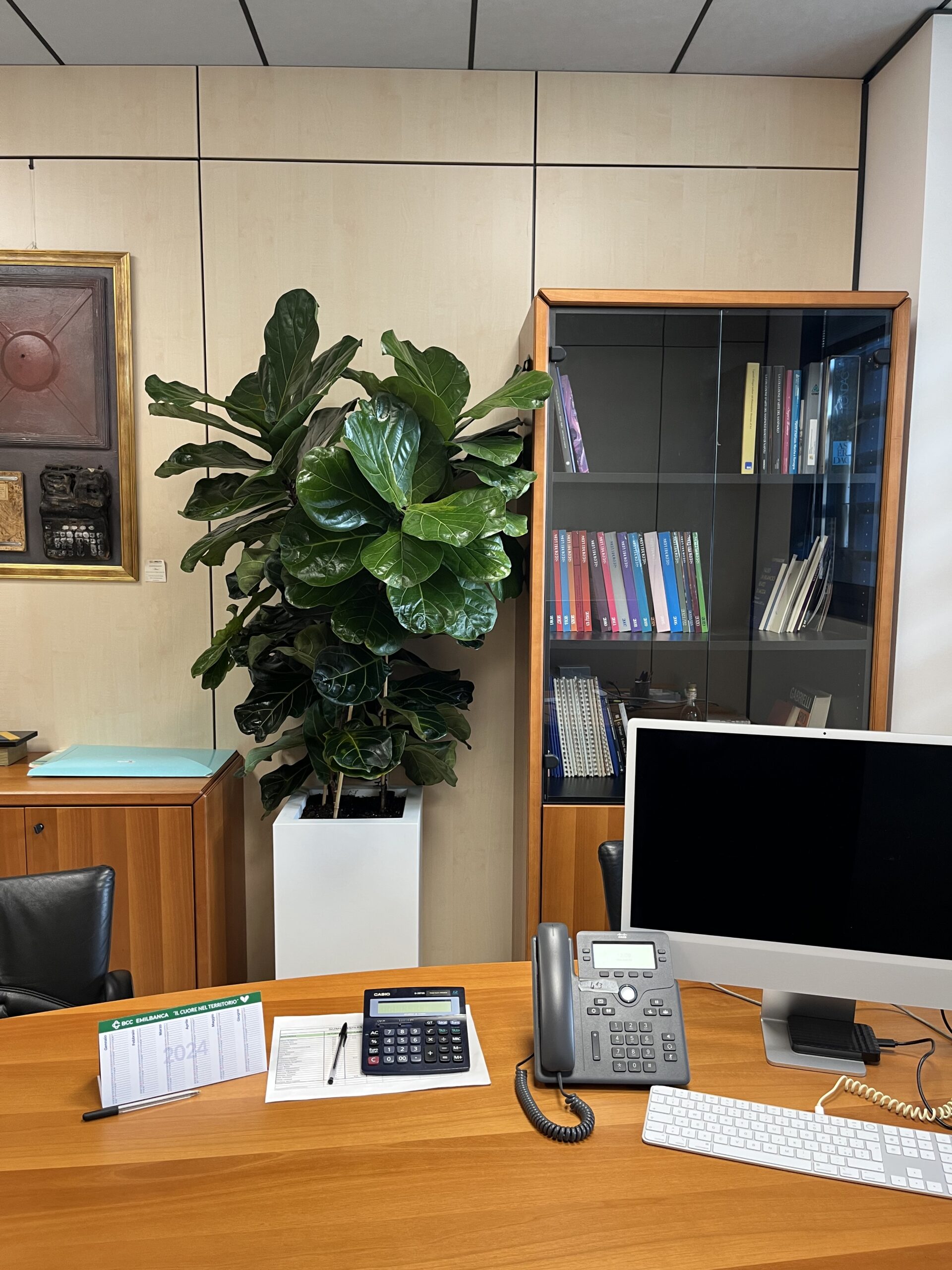 Noleggio Verde Uffici Vantaggi Economici