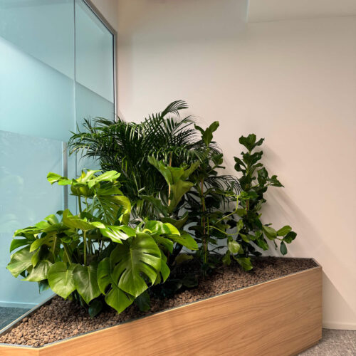 Area-C-�-Noleggio-Verde-3