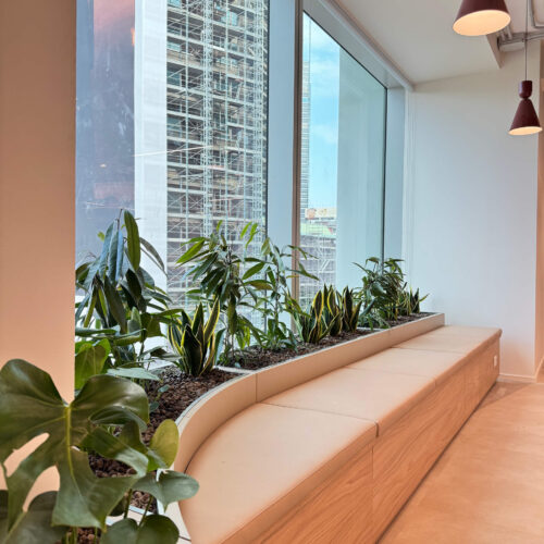 Area-C-�-Noleggio-Verde-5