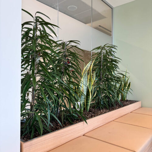 Area-C-�-Noleggio-Verde-6