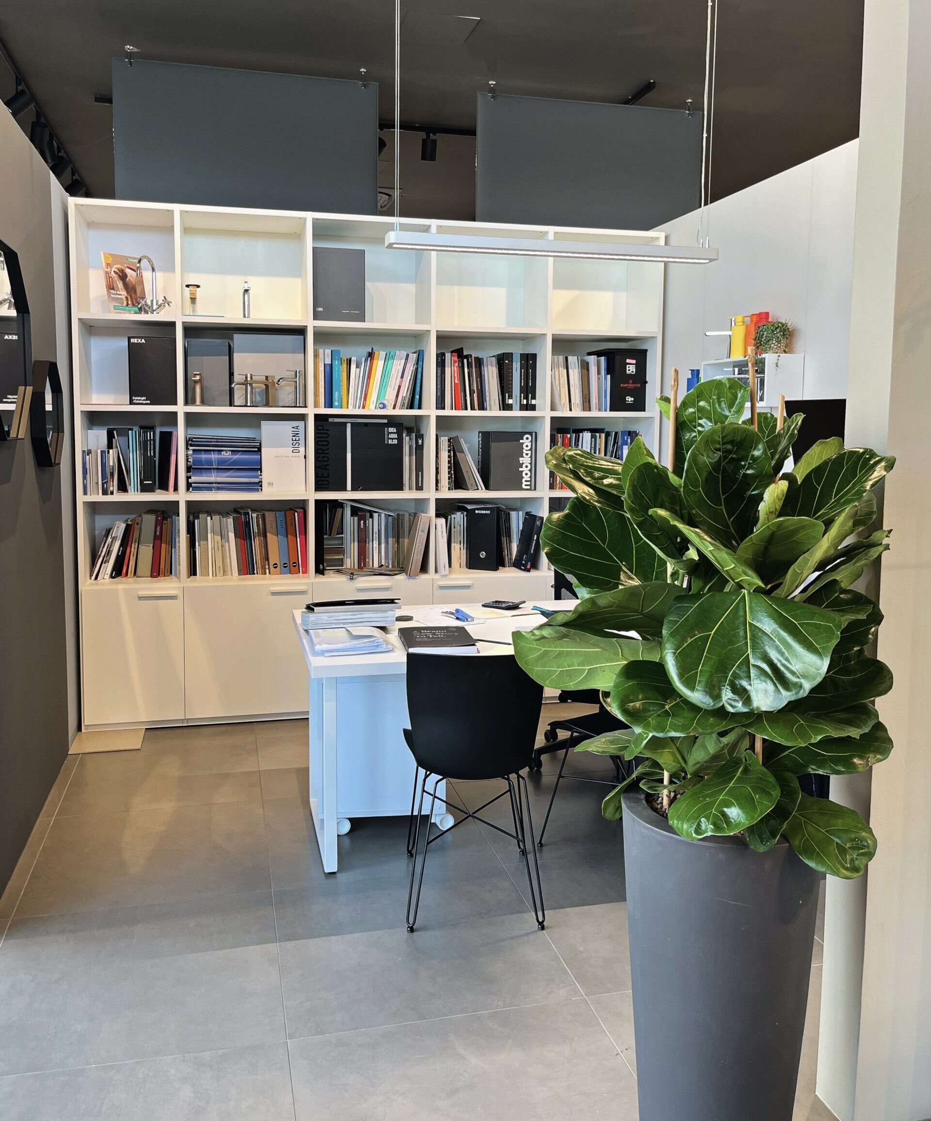 Biophilic Design benefici del verde in ufficio