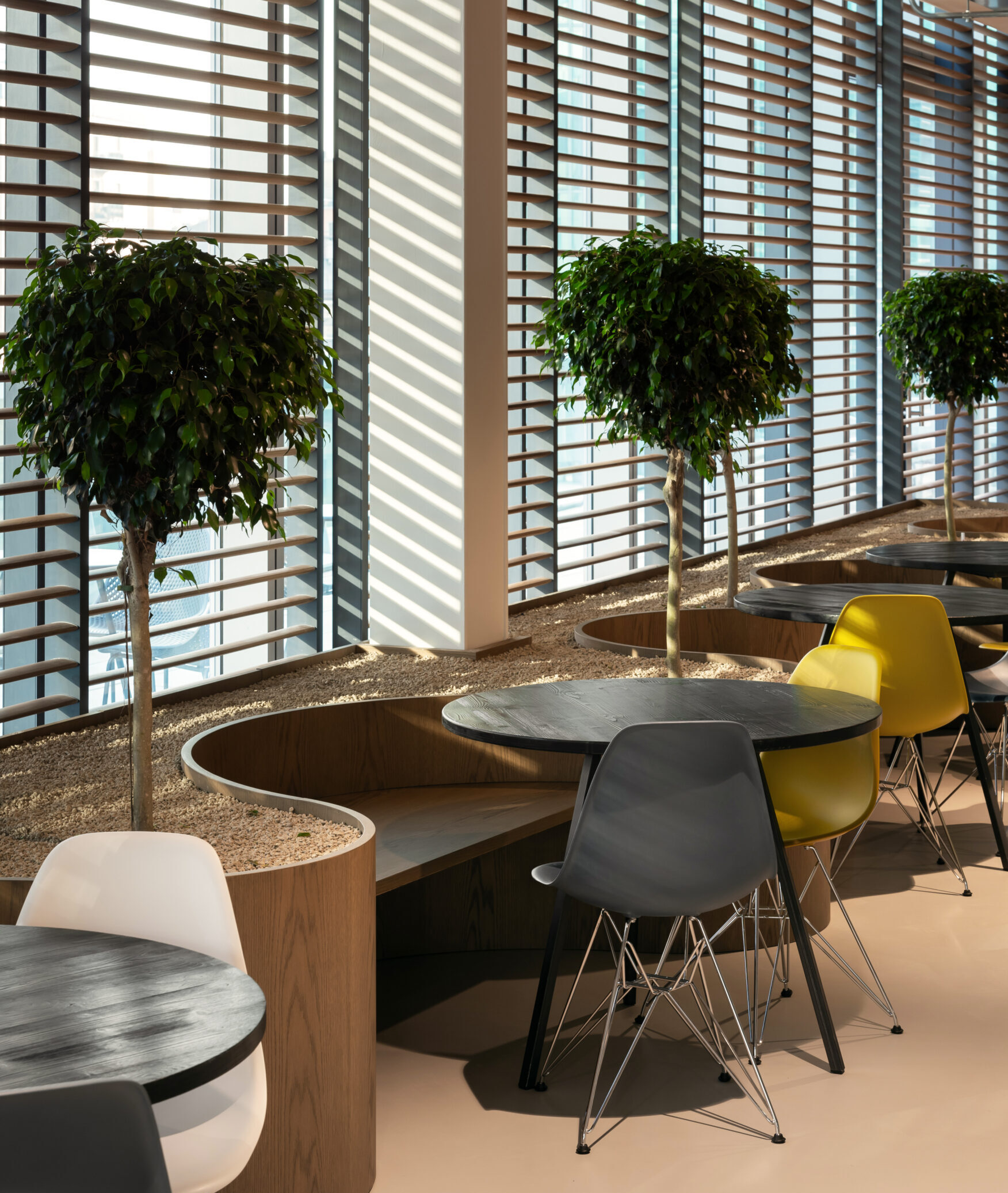 Biophilic Design benefici del verde in ufficio